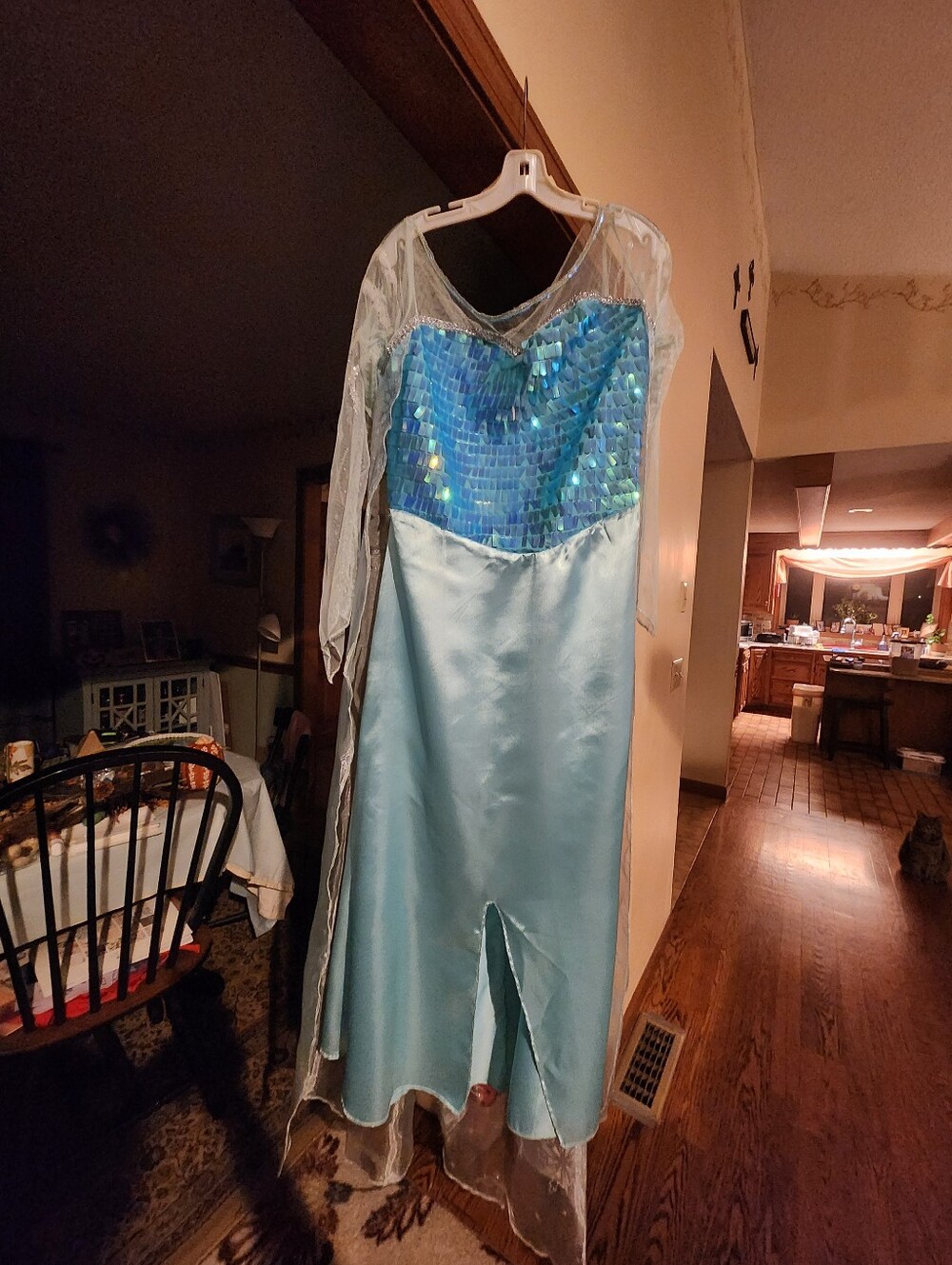 Adult Elsa Costume Sequin Top.